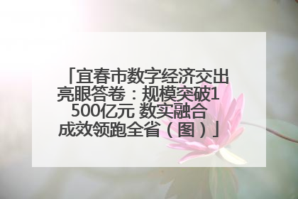 宜春市数字经济交出亮眼答卷：规模突破1500亿元 数实融合成效领跑全省（图）