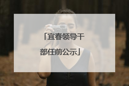 宜春领导干部任前公示