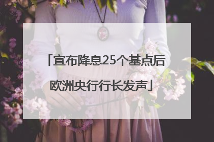 宣布降息25个基点后 欧洲央行行长发声
