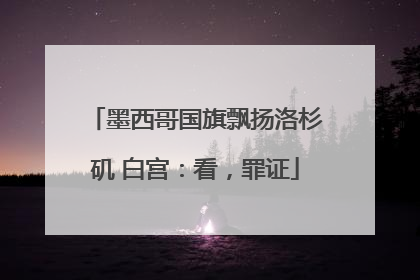 墨西哥国旗飘扬洛杉矶 白宫：看，罪证