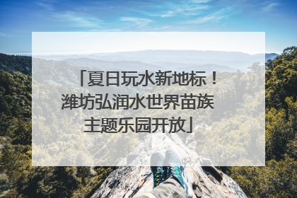 夏日玩水新地标！潍坊弘润水世界苗族主题乐园开放