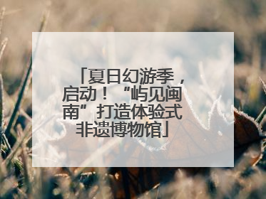 夏日幻游季，启动！“屿见闽南”打造体验式非遗博物馆