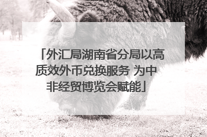 外汇局湖南省分局以高质效外币兑换服务 为中非经贸博览会赋能
