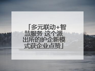 多元联动+智慧服务 这个派出所的护企新模式获企业点赞