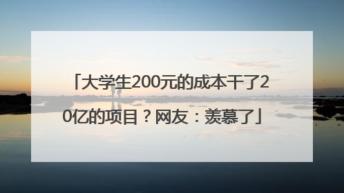 大学生200元的成本干了20亿的项目？网友：羡慕了