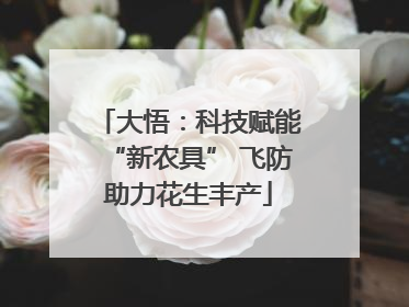 大悟：科技赋能“新农具” 飞防助力花生丰产