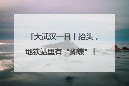 大武汉一日丨抬头，地铁站里有“蝴蝶”