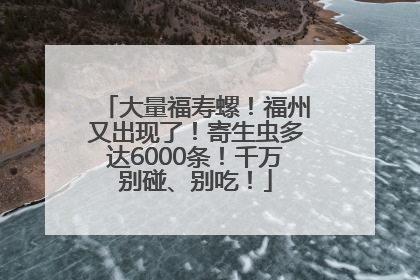 大量福寿螺！福州又出现了！寄生虫多达6000条！千万别碰、别吃！