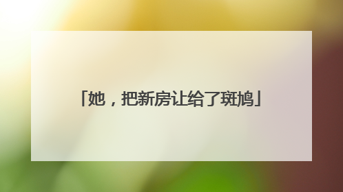 她，把新房让给了斑鸠