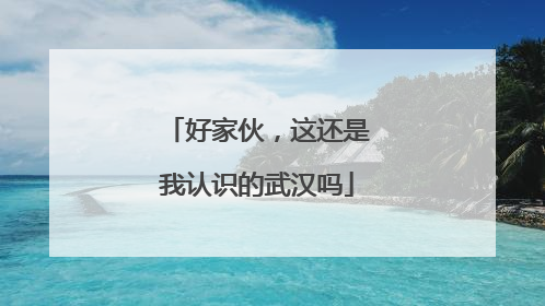 好家伙，这还是我认识的武汉吗