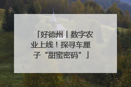 好德州丨数字农业上线！探寻车厘子“甜蜜密码”