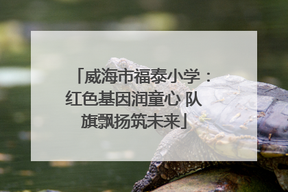 威海市福泰小学：红色基因润童心 队旗飘扬筑未来