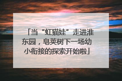 当“虹猫娃”走进淮东园，皂荚树下一场幼小衔接的探索开始啦