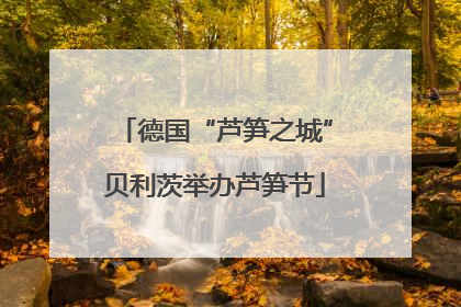 德国“芦笋之城”贝利茨举办芦笋节