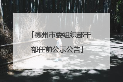 德州市委组织部干部任前公示公告