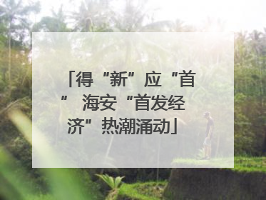 得“新”应“首” 海安“首发经济”热潮涌动