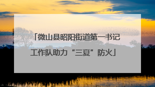 微山县昭阳街道第一书记工作队助力“三夏”防火