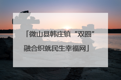 微山县韩庄镇“双圈”融合织就民生幸福网