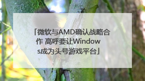 微软与AMD确认战略合作 高呼要让Windows成为头号游戏平台