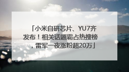 小米自研芯片、YU7齐发布！相关话题霸占热搜榜，雷军一夜涨粉超20万