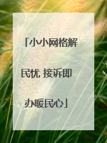 小小网格解民忧 接诉即办暖民心