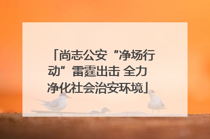 尚志公安“净场行动”雷霆出击 全力净化社会治安环境