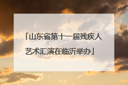 山东省第十一届残疾人艺术汇演在临沂举办