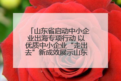 山东省启动中小企业出海专项行动 以优质中小企业“走出去”新成效展示山东产业发展新形象