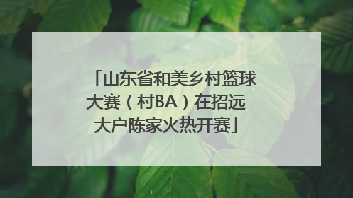 山东省和美乡村篮球大赛（村BA）在招远大户陈家火热开赛