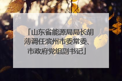 山东省能源局局长胡薄调任滨州市委常委、市政府党组副书记