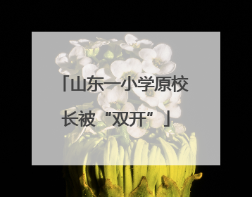 山东一小学原校长被“双开”