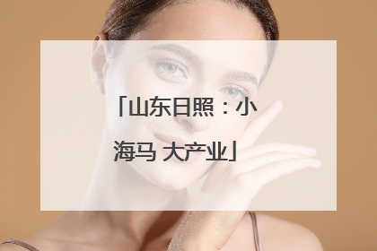 山东日照：小海马 大产业