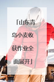 山东青岛小麦收获作业全面展开