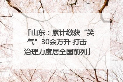 山东：累计缴获“笑气”30余万升 打击治理力度居全国前列