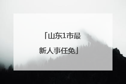 山东1市最新人事任免