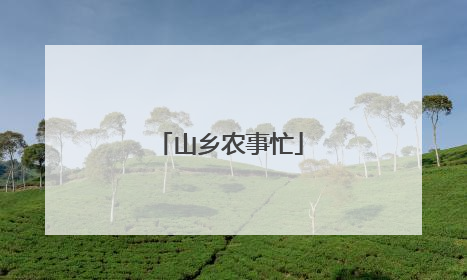 山乡农事忙