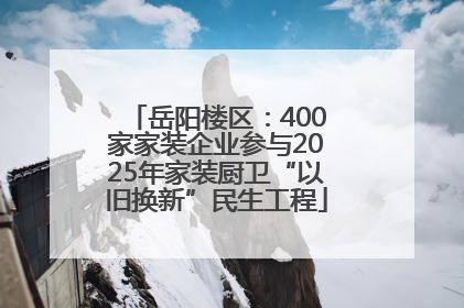 岳阳楼区：400家家装企业参与2025年家装厨卫“以旧换新”民生工程