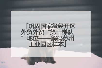 巩固国家级经开区外贸外资“第一梯队”地位——解码苏州工业园区样本