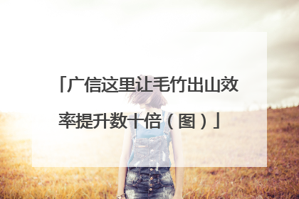 广信这里让毛竹出山效率提升数十倍（图）