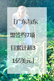 广东与东盟签约7项目累计超31亿美元