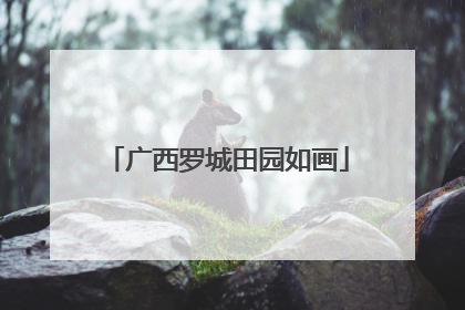 广西罗城田园如画