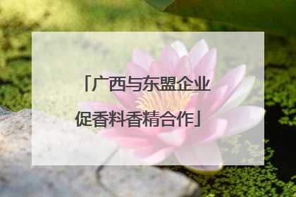 广西与东盟企业促香料香精合作