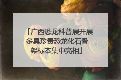 广西恐龙科普展开展 多具珍贵恐龙化石骨架标本集中亮相