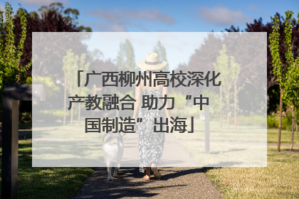 广西柳州高校深化产教融合 助力“中国制造”出海