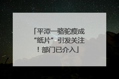 平潭一骆驼瘦成“纸片”引发关注！部门已介入
