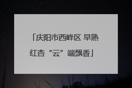 庆阳市西峰区 早熟红杏“云”端飘香
