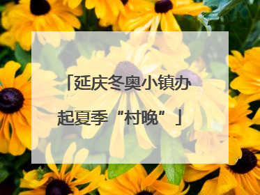 延庆冬奥小镇办起夏季“村晚”