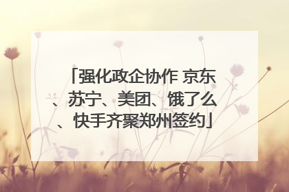 强化政企协作 京东、苏宁、美团、饿了么、快手齐聚郑州签约