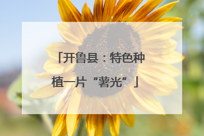 开鲁县：特色种植一片“薯光”