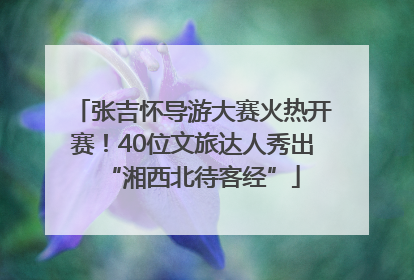 张吉怀导游大赛火热开赛！40位文旅达人秀出“湘西北待客经”